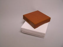 1-A (PC1) Presentation Cases